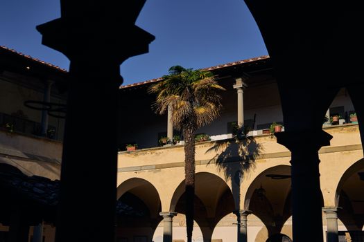 Elegant courtyard in Tuscany, Italy featuring a lush palm tree under clear blue skies.