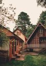 Exterior of village with wooden houses located in green yard with high trees