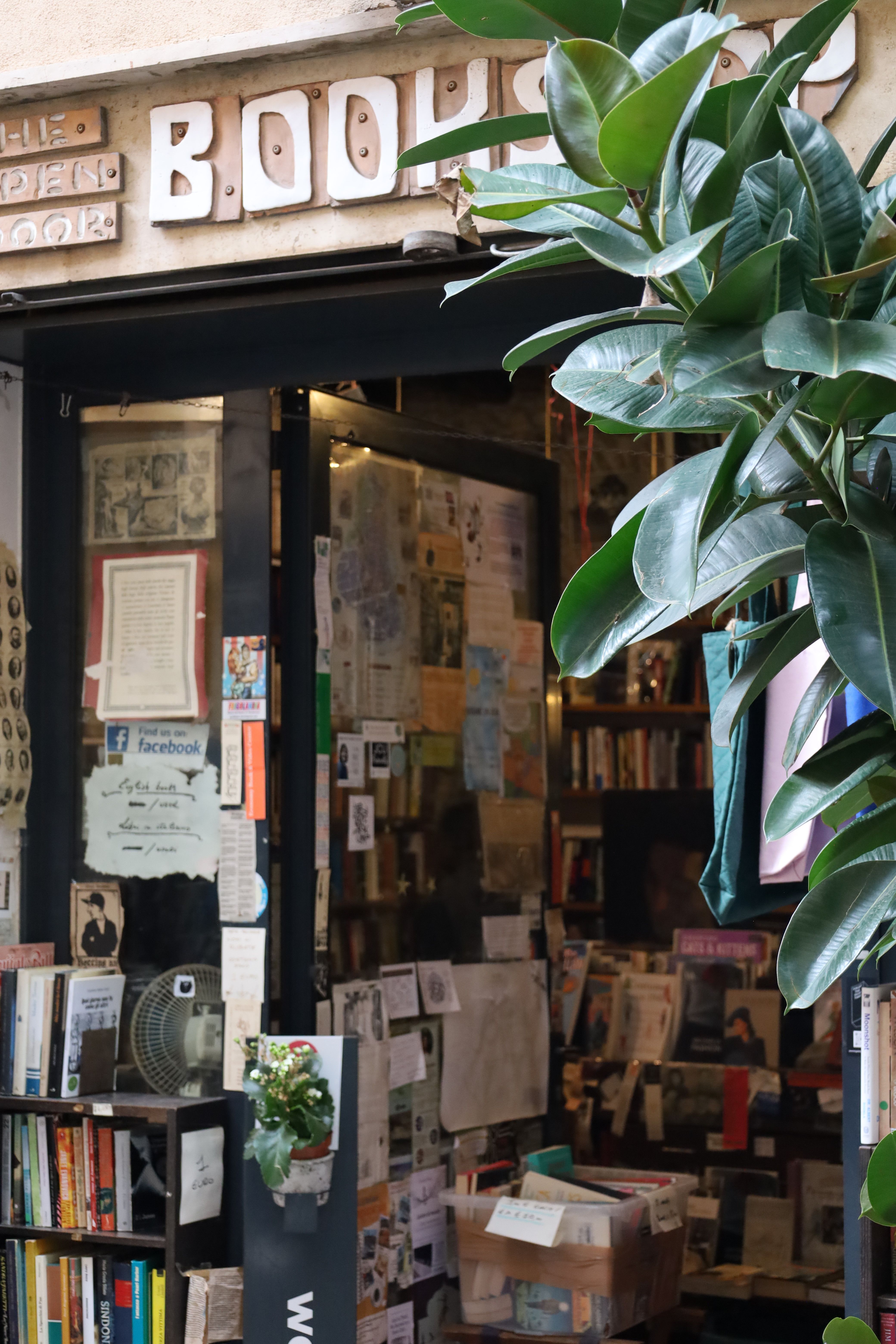 Cozy Bookstore Entrance with Greenery · Free Stock Photo