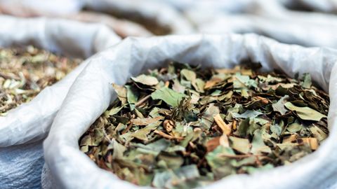 Close-up of dried herbal leaves in bags at a São Paulo market, showcasing natural textures.