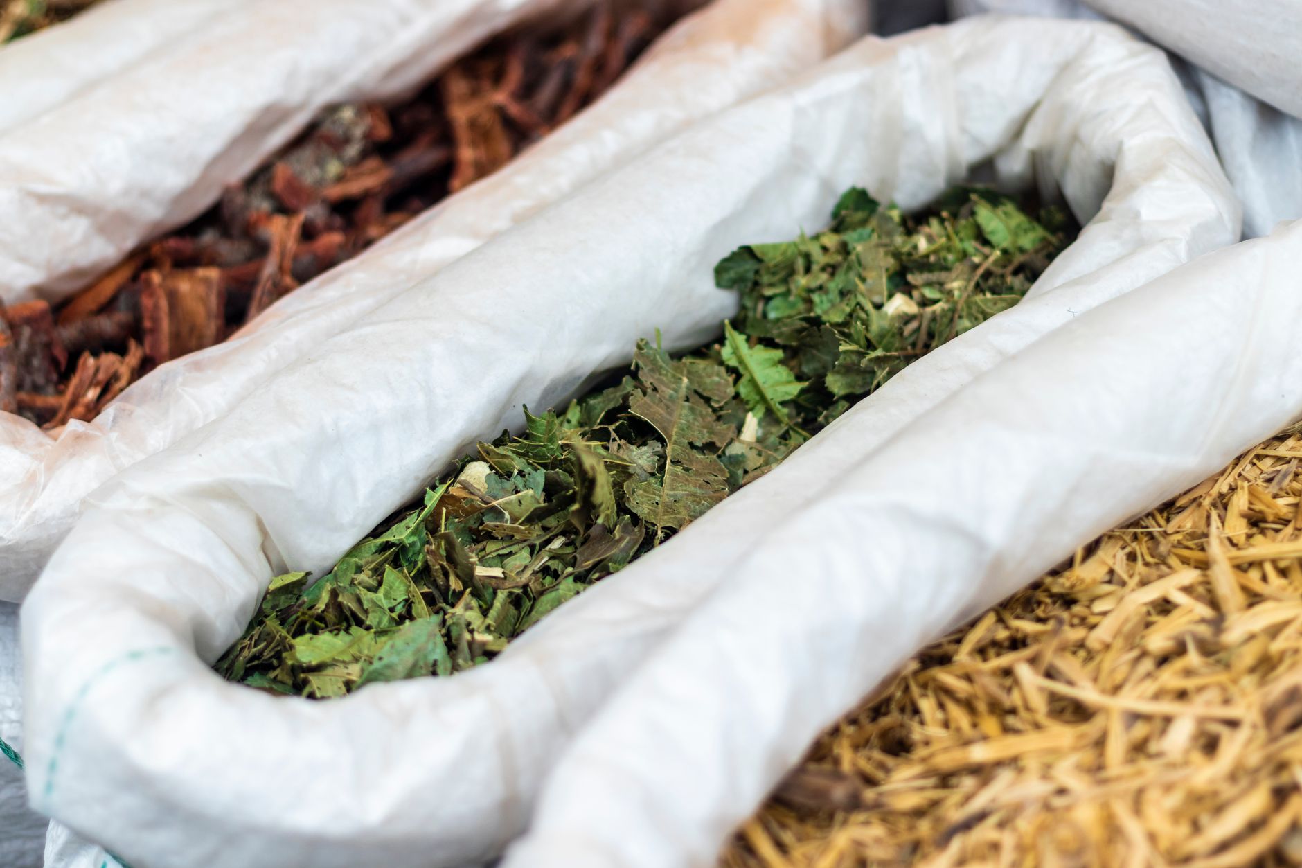 Interior of a traditional Korean herbal medicine shop with various dried herbs and roots.