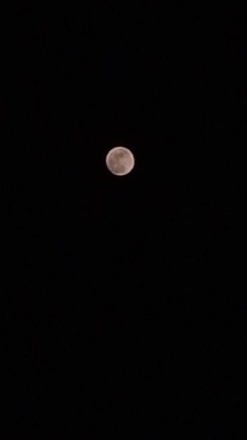 Free stock photo of full moon, moon, nature Stock Photo