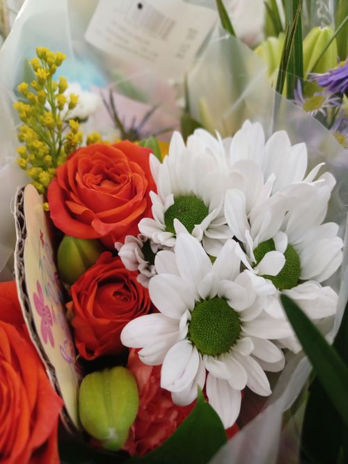Free Close-up of a vibrant flower bouquet featuring red roses, white daisies, and yellow accents for a fresh and colorful display. Stock Photo