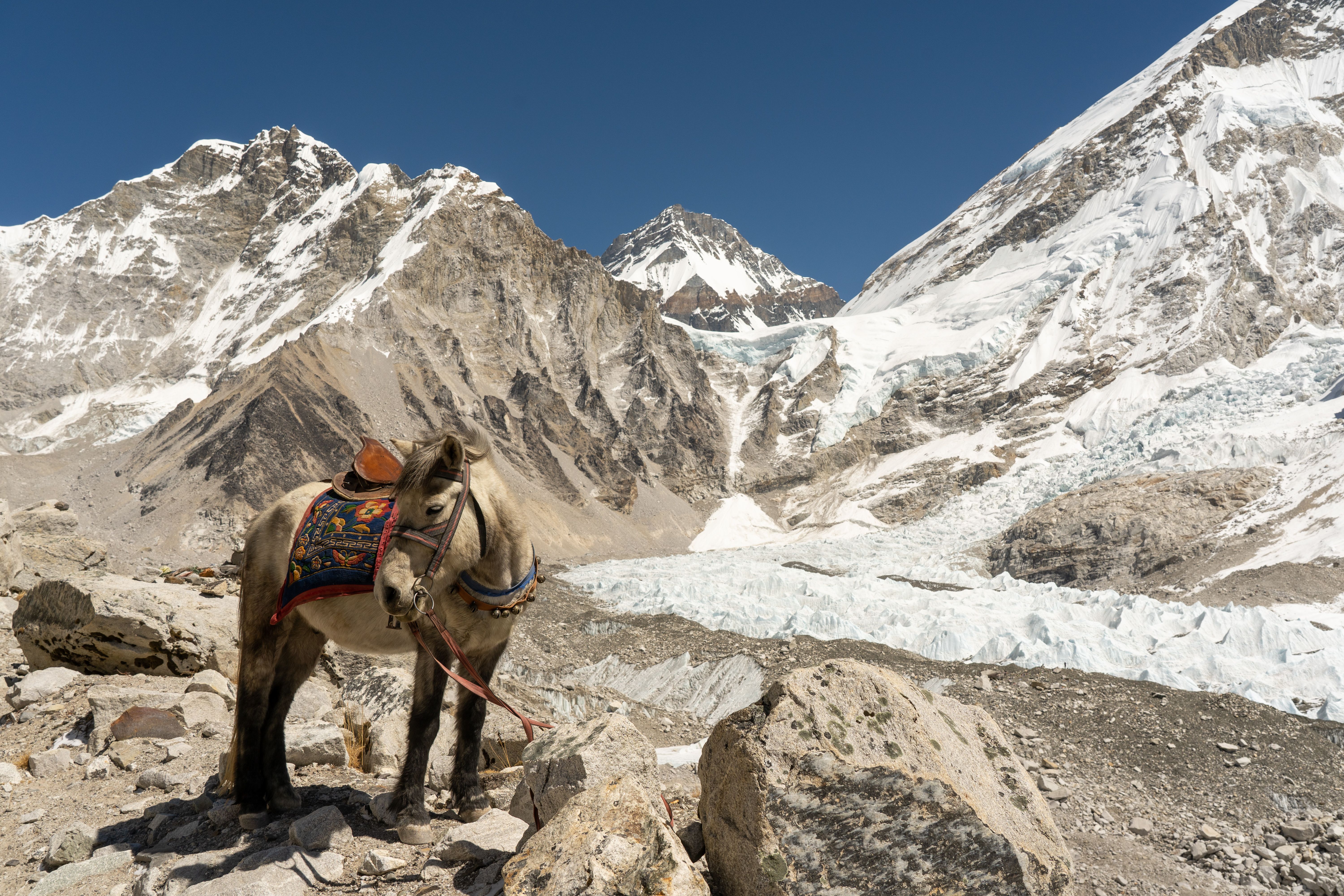 Airport transfers in Khumbu