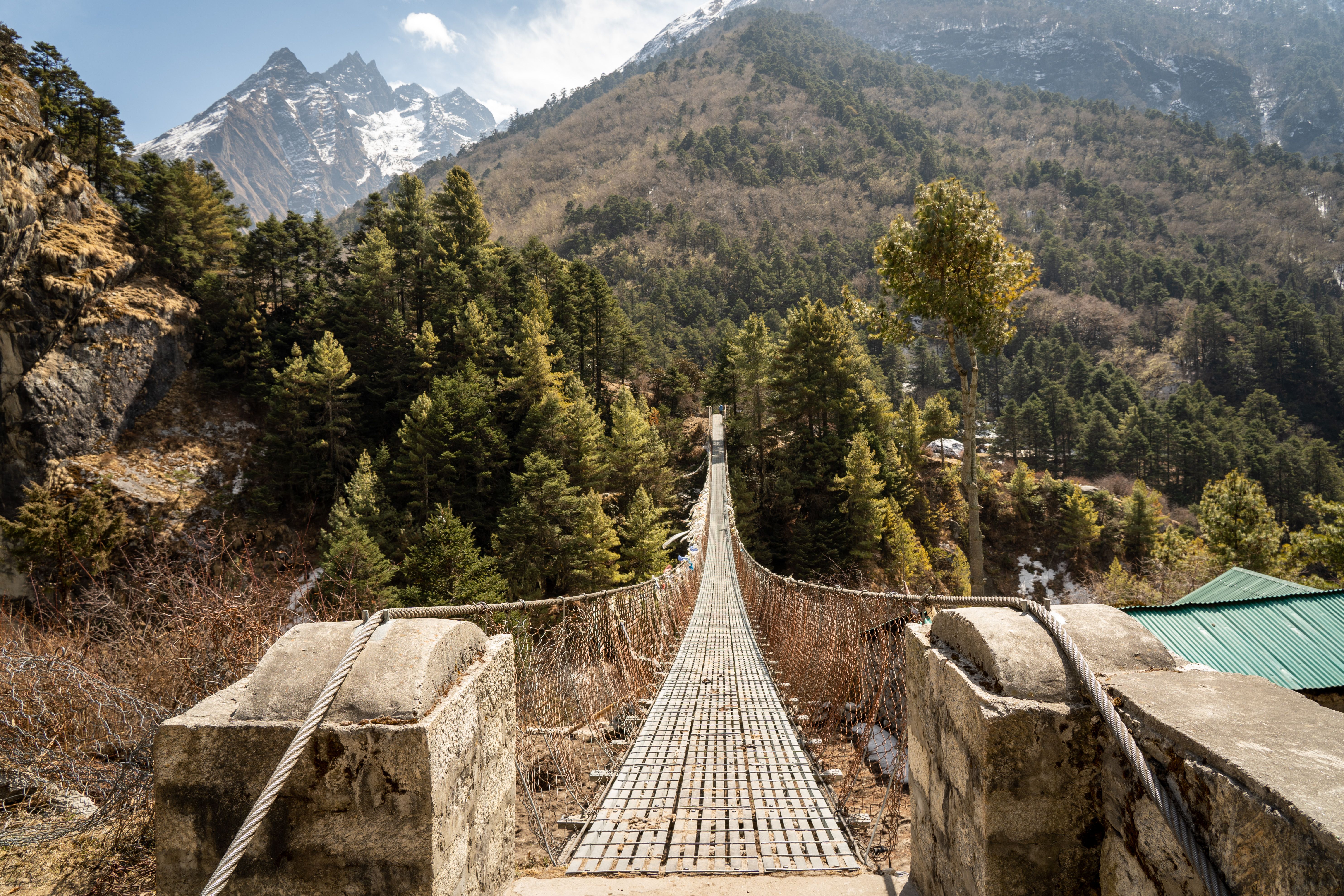 A suspension bridge stretches across a dense forest with snow-capped mountains in the background.