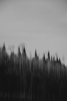 An artistic black and white image capturing the abstract silhouette of a blurred forest landscape.