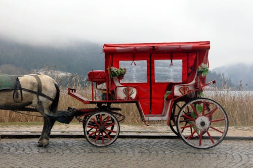 Красный и белый конный экипаж на дороге