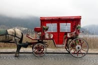 Red and White Horse Carriage on Road