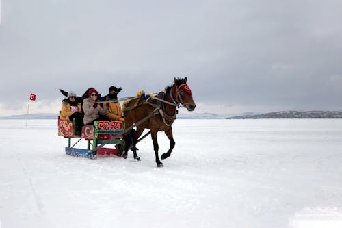 雪に覆われた地面で馬に乗る人々