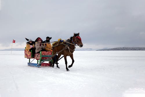 La Gente A Caballo Sobre Un Terreno Cubierto De Nieve