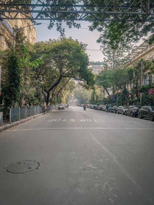 Free Peaceful street scene in Kolkata featuring lush trees and minimal traffic, creating a tranquil urban atmosphere. Stock Photo