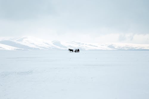 Silueta De Un Caballo Con Trineo Sobre Suelo Cubierto De Nieve