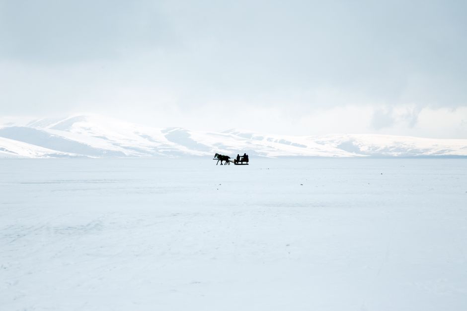 A scenic winter view with a horse pulling a sledge across a vast snow-covered landscape.