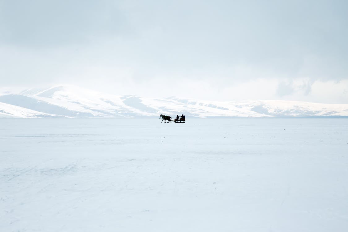 Silhouette Eines Pferdes Mit Schlitten Auf Schneebedecktem Boden