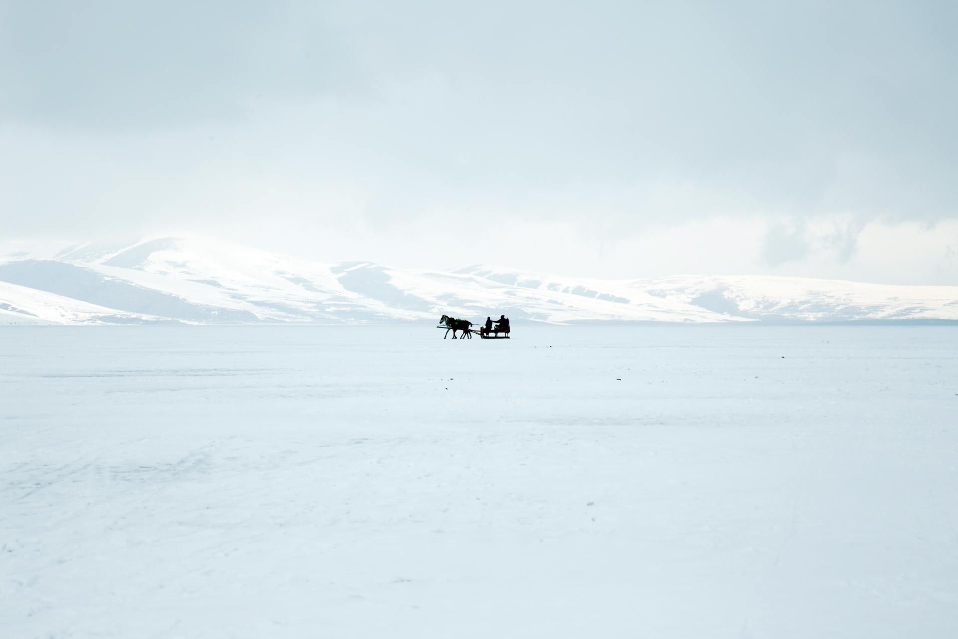  Silhouette Of A Horse With Sled on Snow Covered Ground