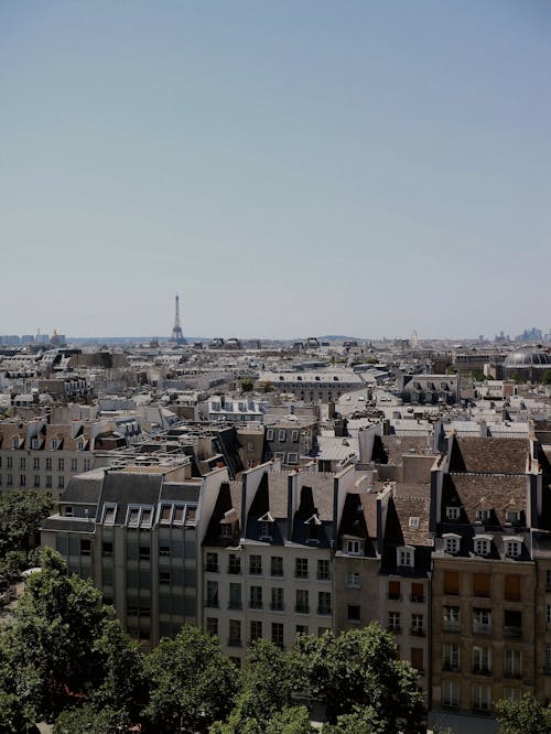 Aerial View of City Buildings