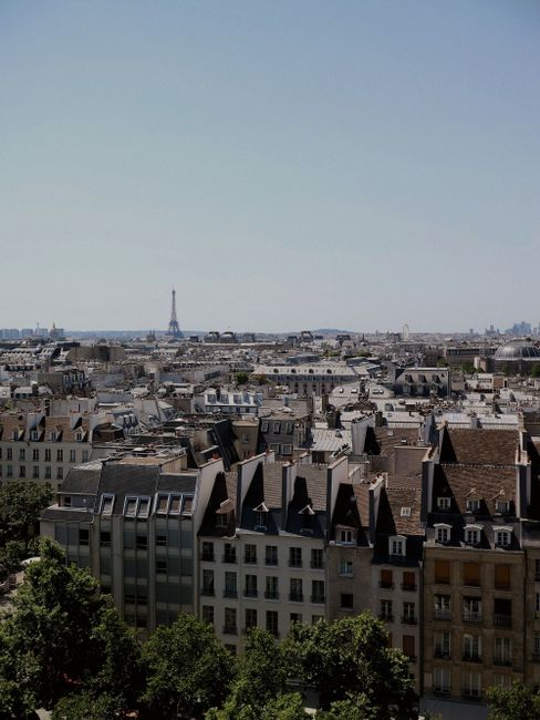 Stunning aerial view of Paris showcasing its classic architecture with the Eiffel Tower in view. Perfect for travel and architecture themes.