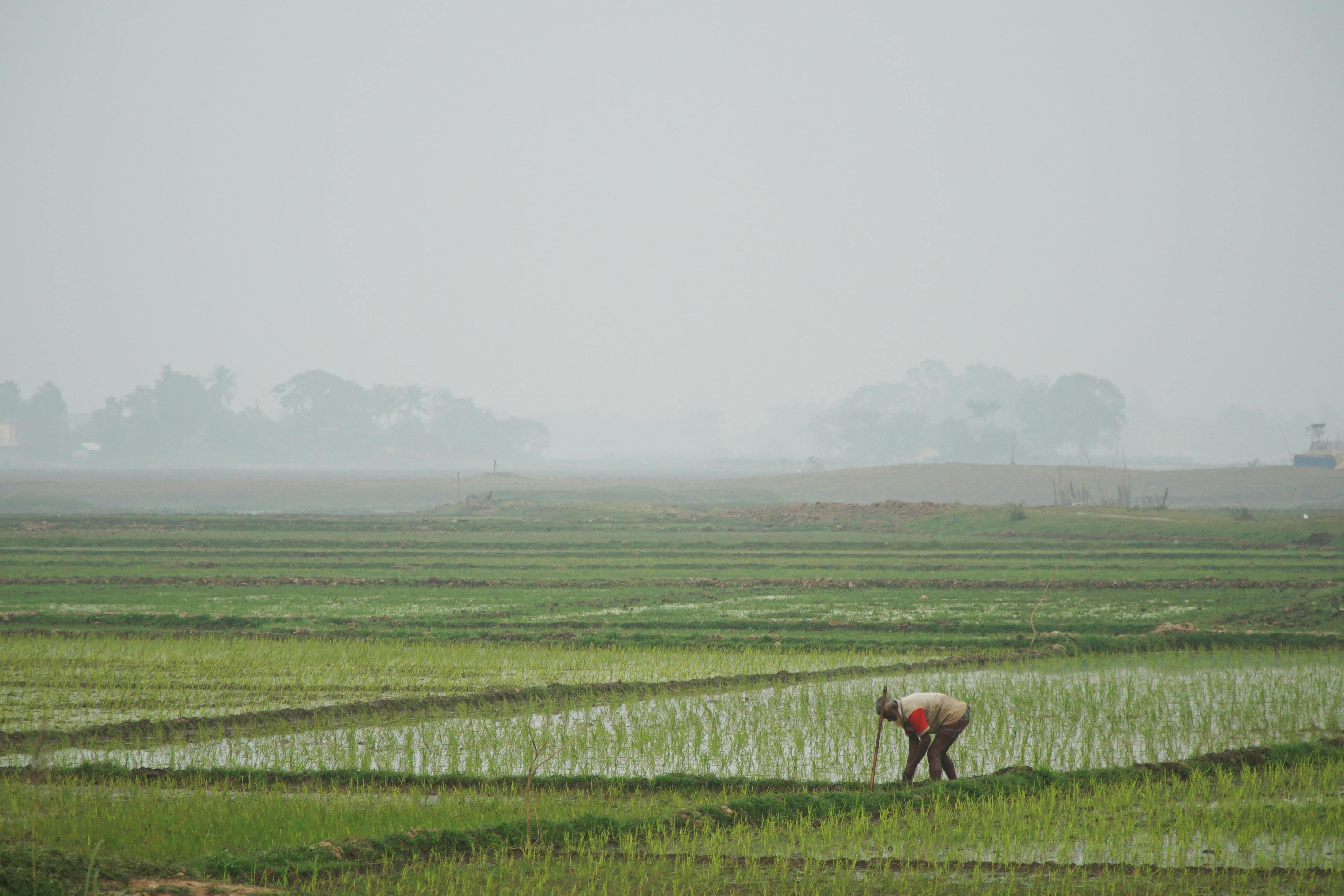 Many farmers utilize life insurance for farm financing — Photo by Monirul Hoque Shraban on Pexels