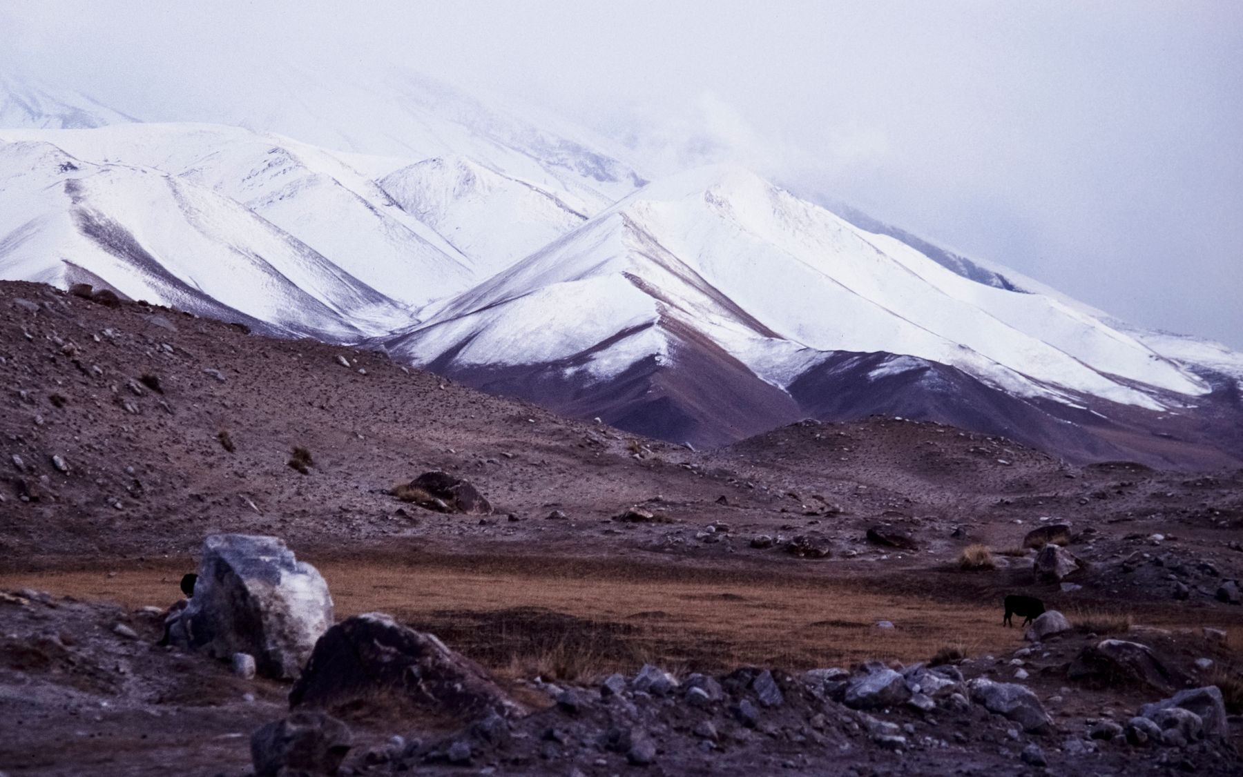 Beautiful snow-capped mountains in Northern Pakistan with rugged terrain and serene atmosphere.
