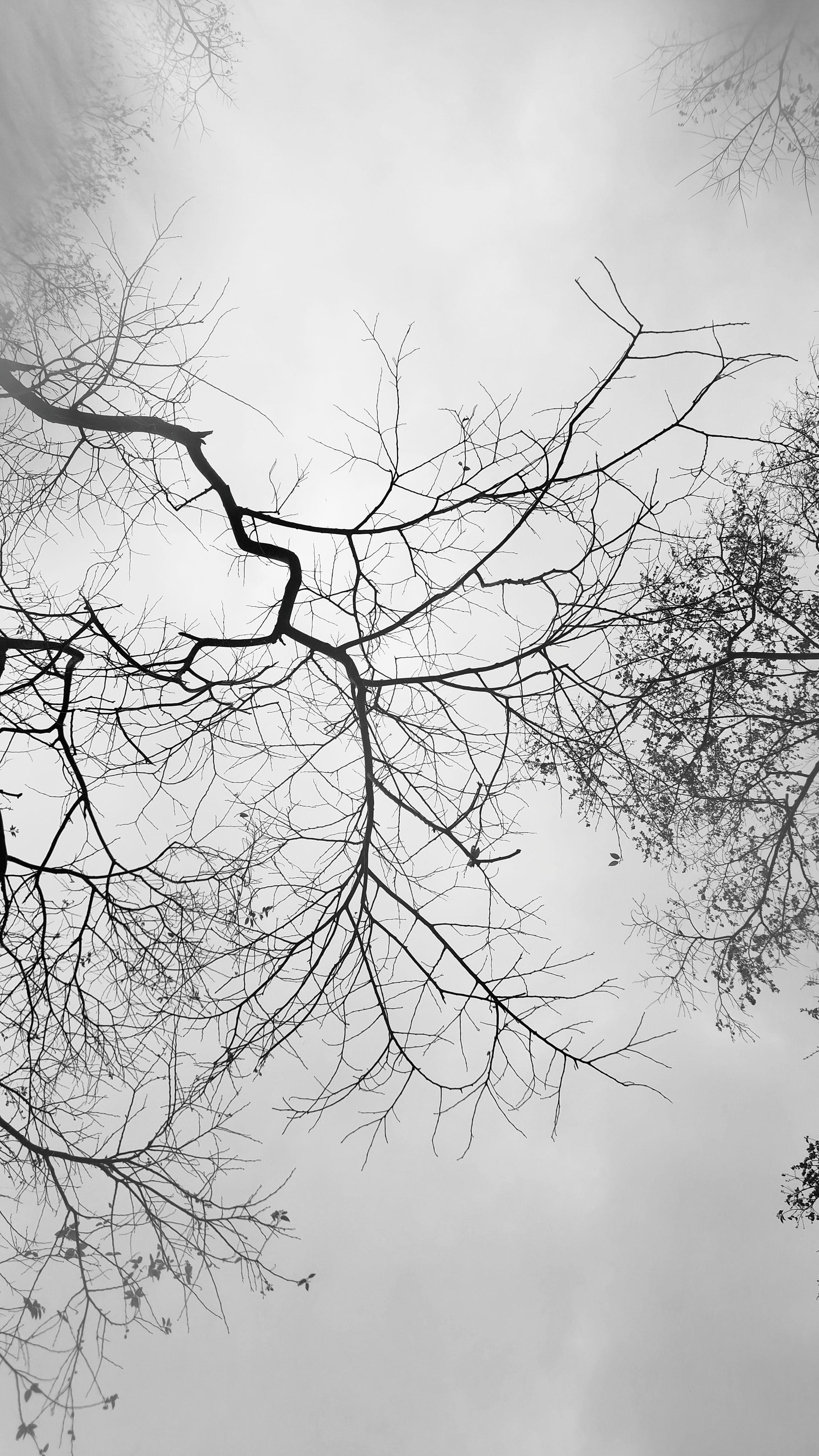 Atif Hashmi - Photography