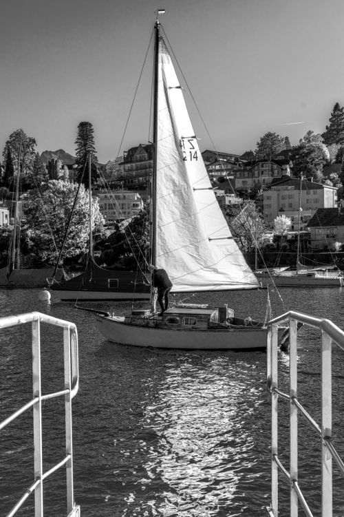 Free Black and white photo of a sailboat on Lake Thun with houses in a Swiss village background, ideal for travel imagery. Stock Photo