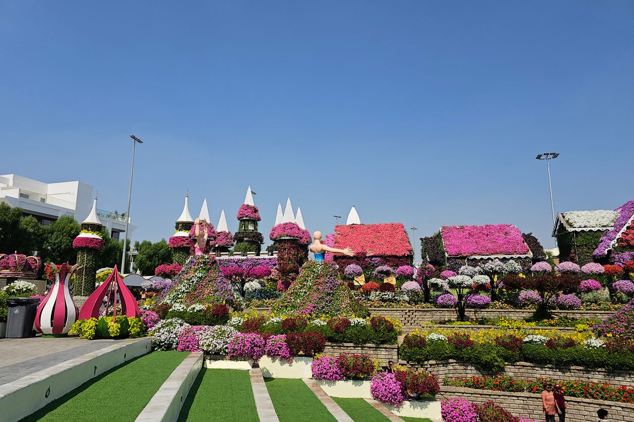 Explore the vibrant flower arrangements at Dubai Miracle Garden, showcasing intricate designs and vivid colors.