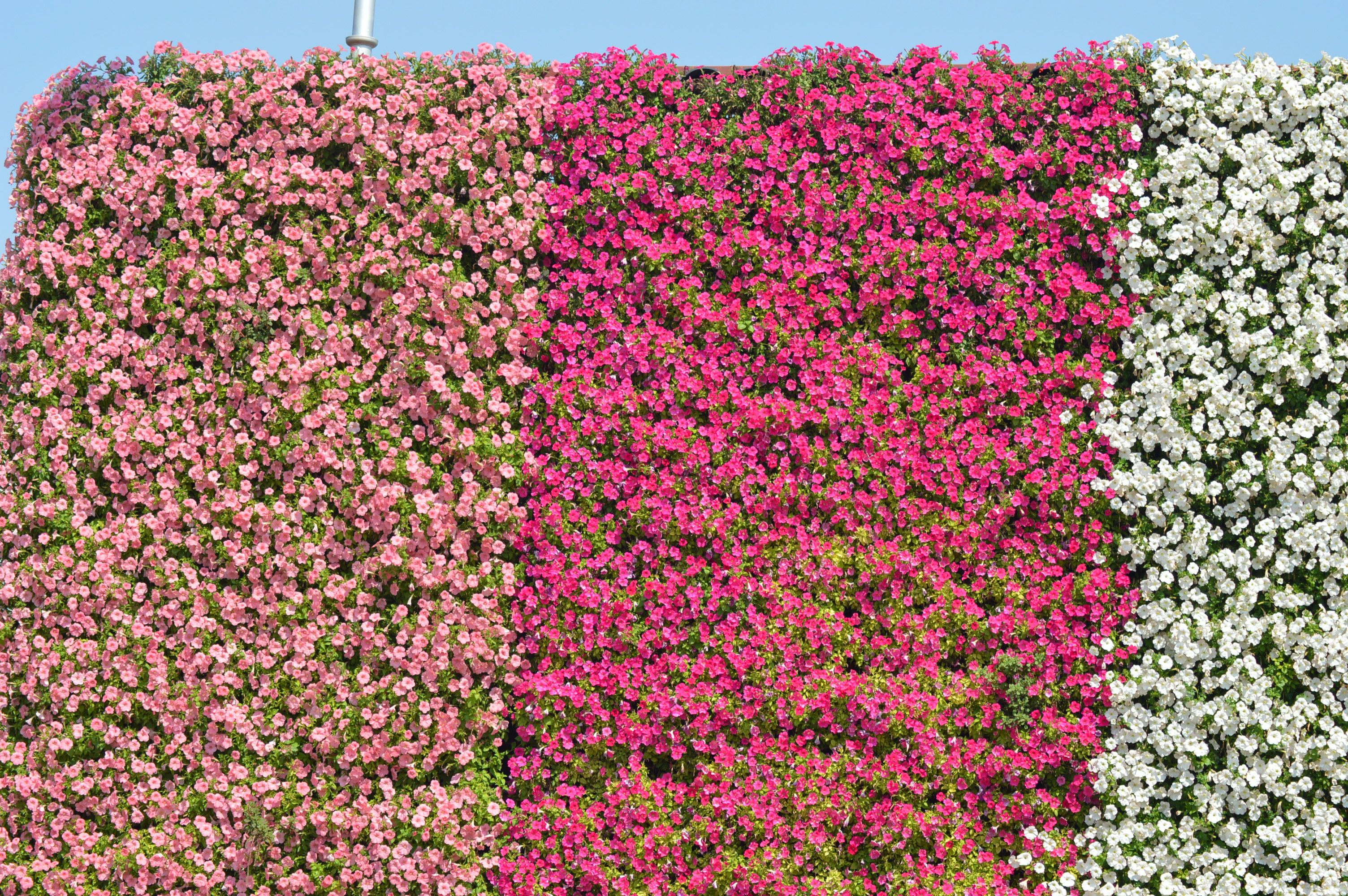 Dubai Hills Estate Park