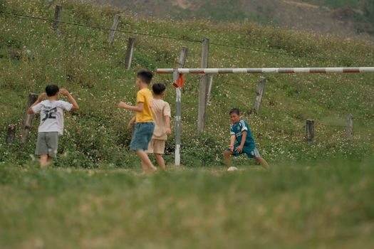 Young boys playing soccer on a lush green field, enjoying a sunny day.