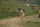 kids soccer