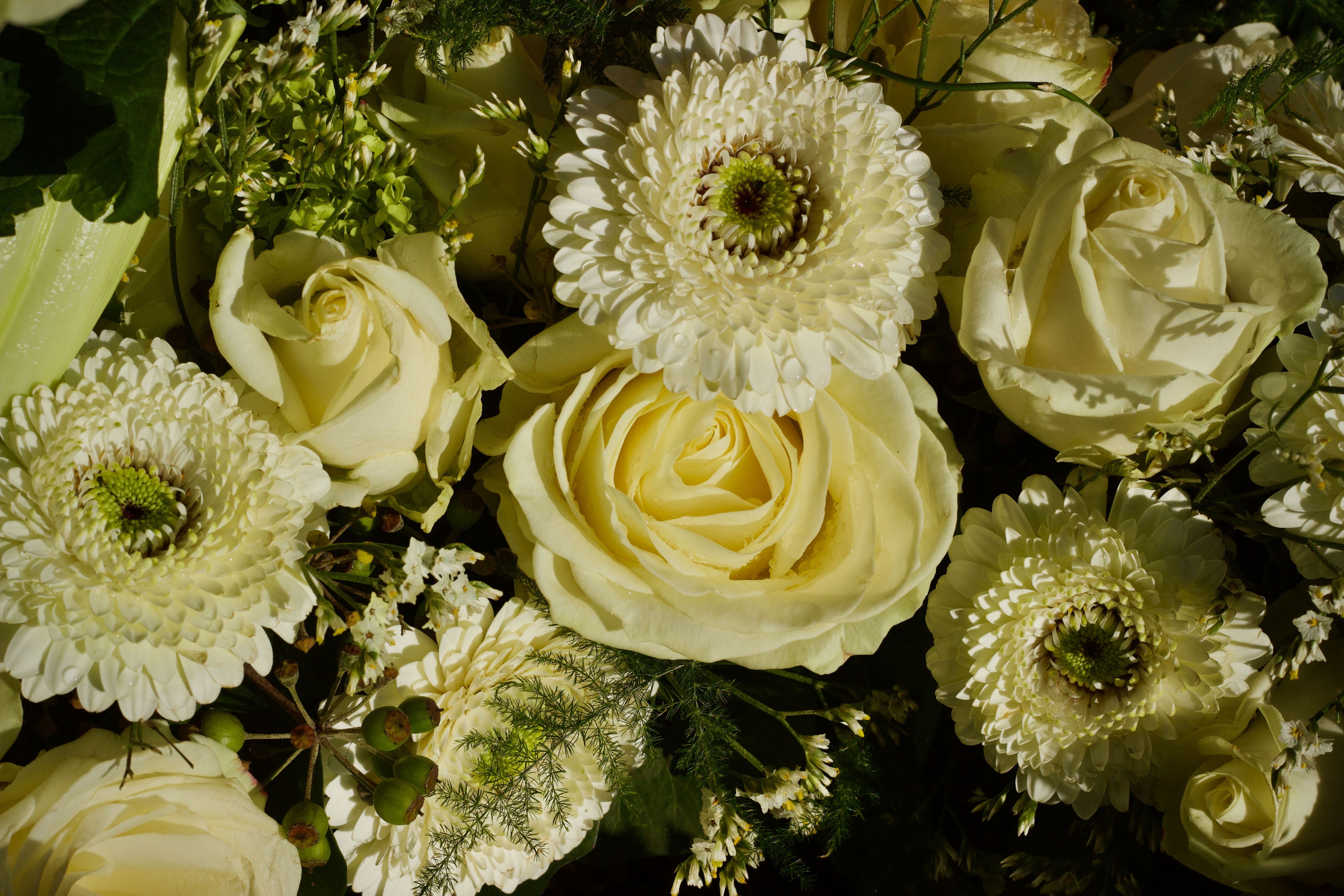 Qualitätsblumen