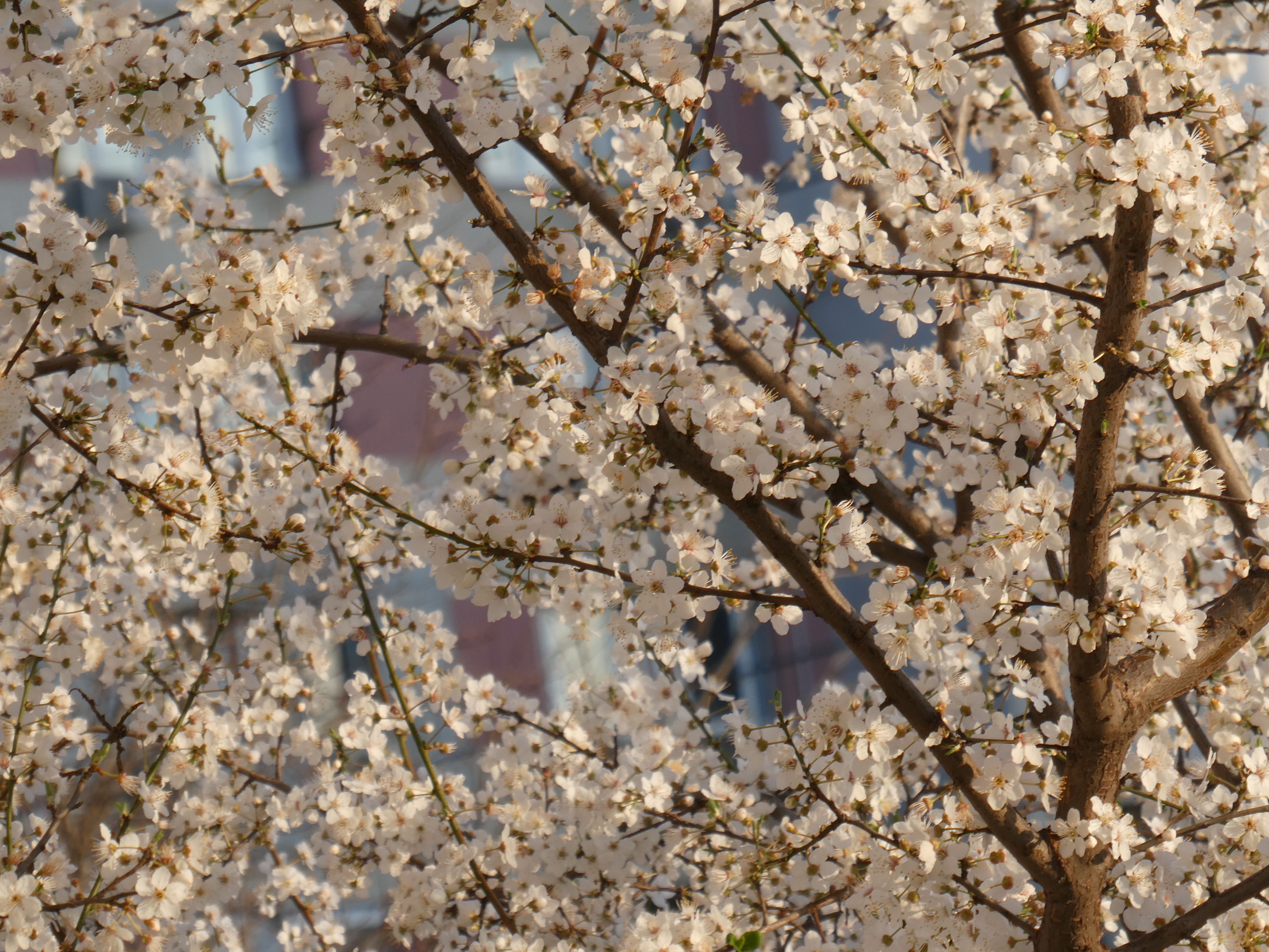 Give your home a spring reset for less than $100 with these DIY home improvement projects — Photo by Nadejda Bostanova on Pex