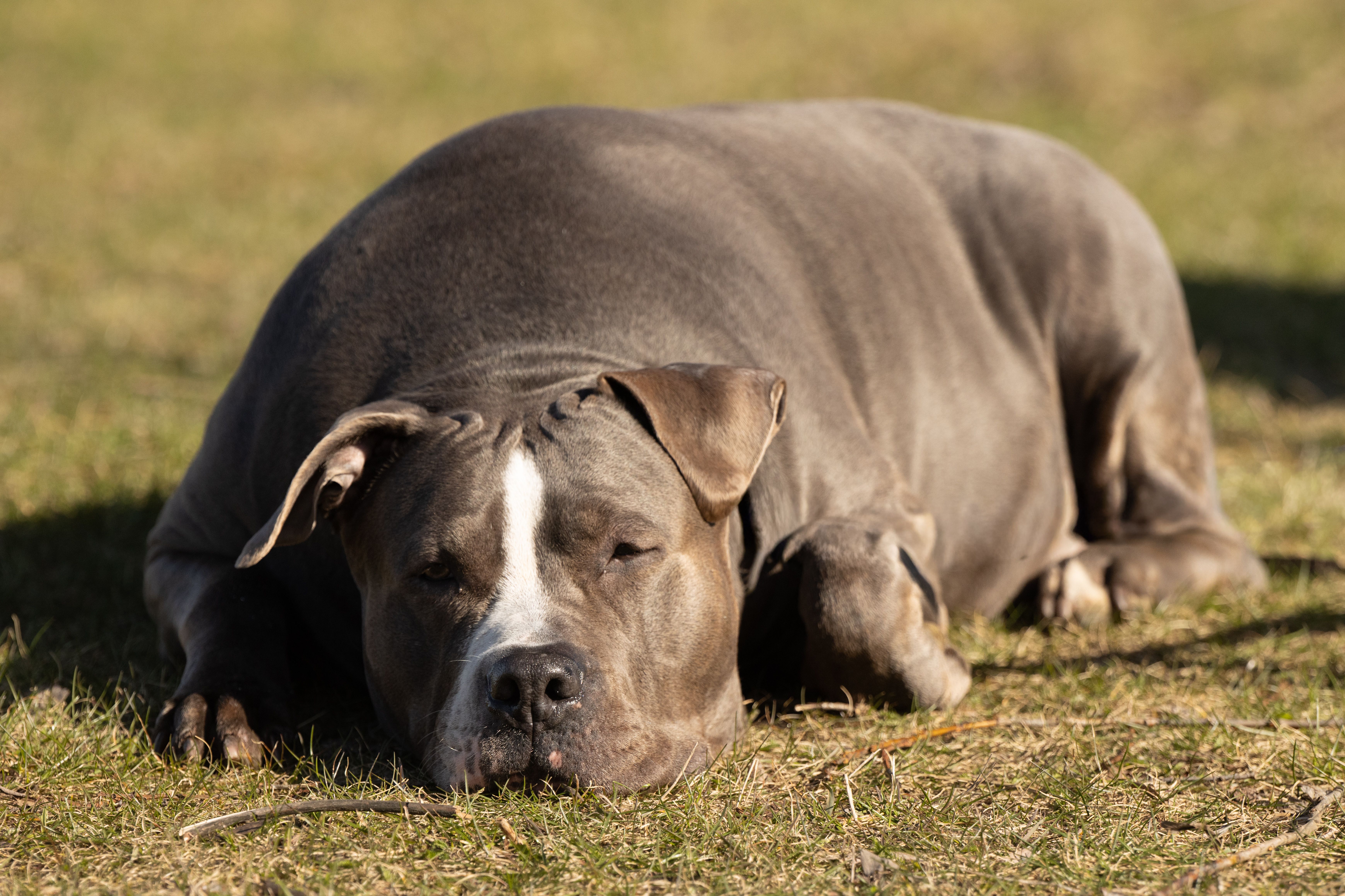 Foto: Efrem  Efre / Pexels
