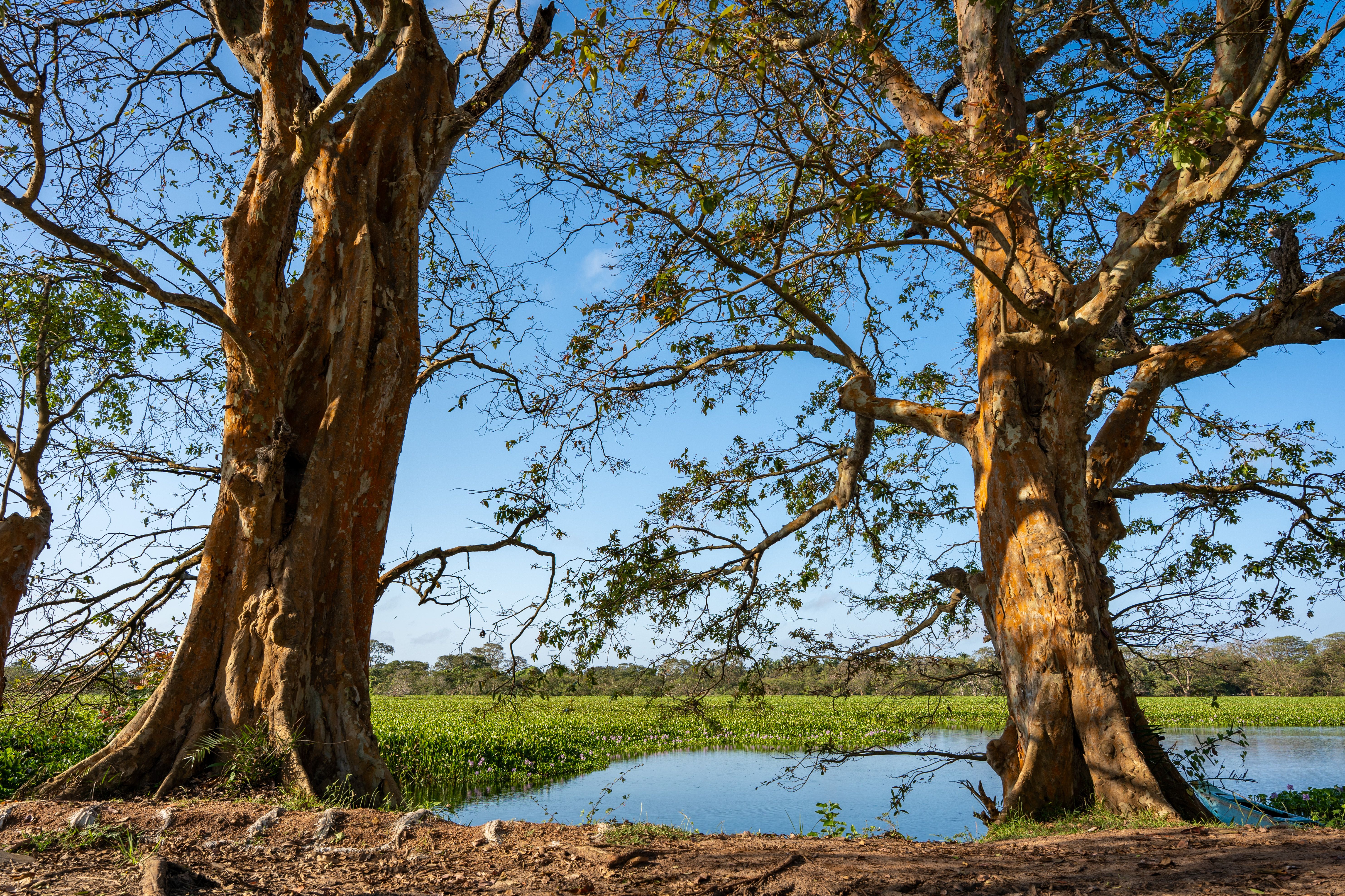 Habarana with Family: What Works and What to Skip