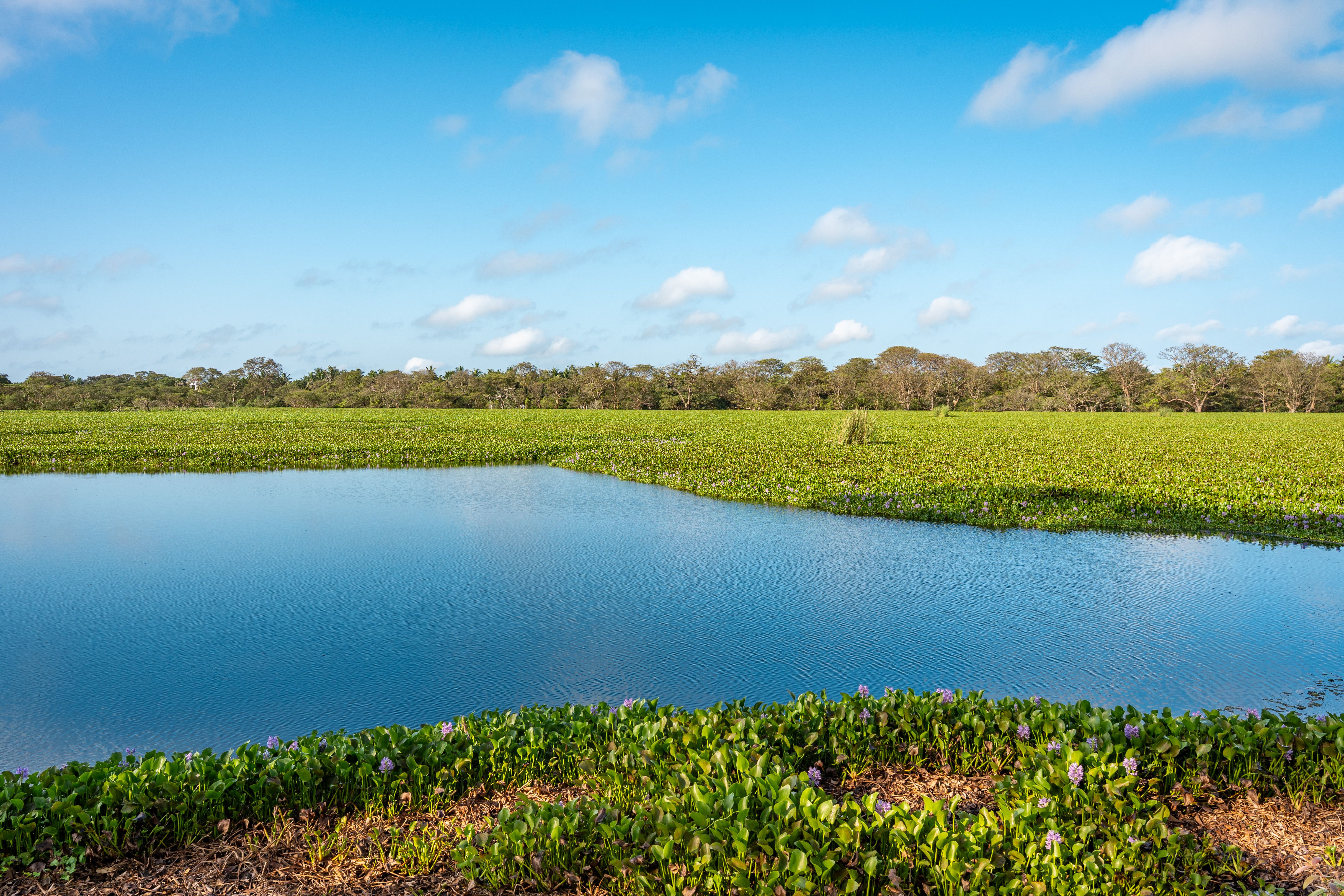 Mannar for Solo Travellers: Safety and Practical Tips