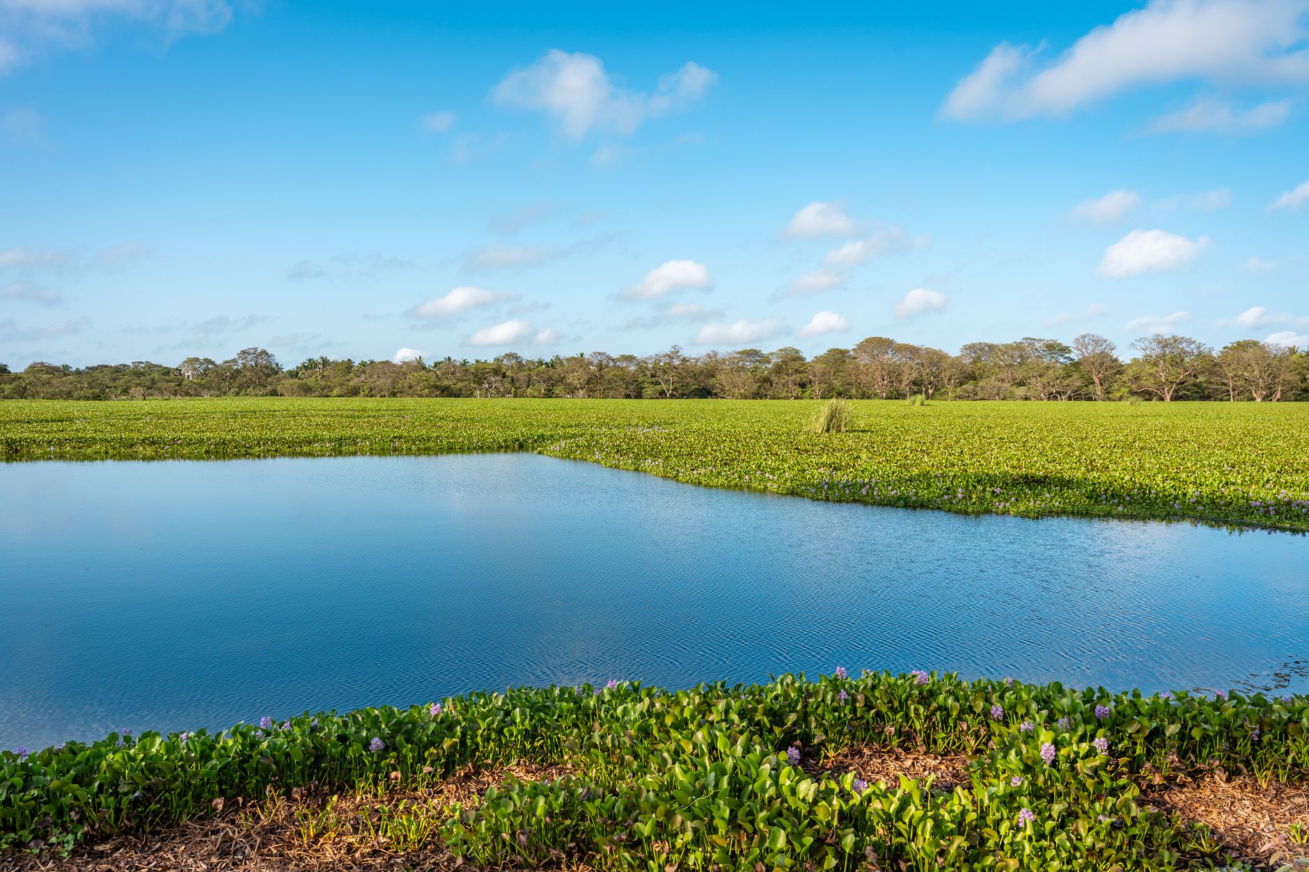 Mannar for Solo Travellers: Safety and Practical Tips