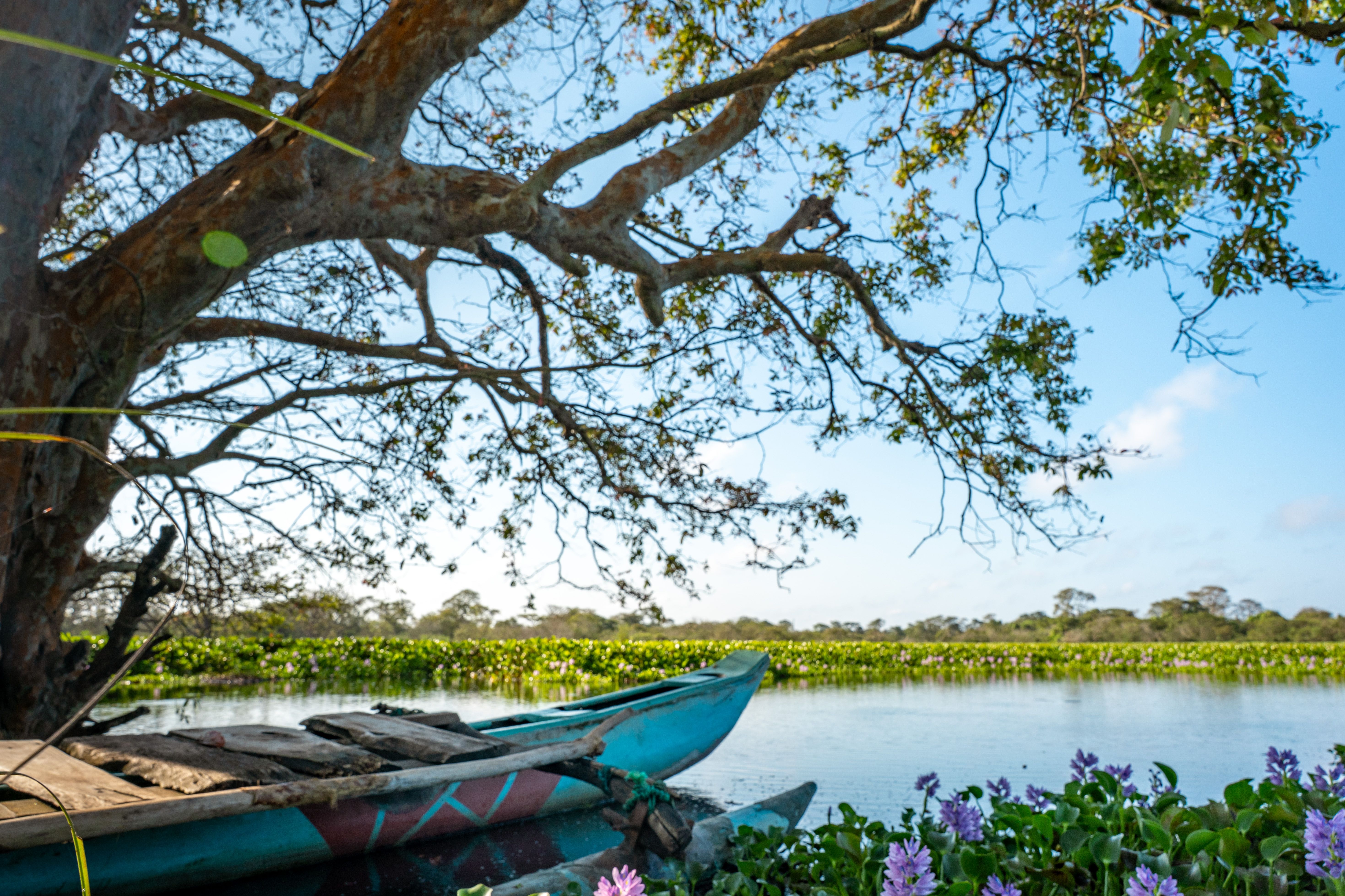 Habarana in 2 Days: What to See and Where to Stay