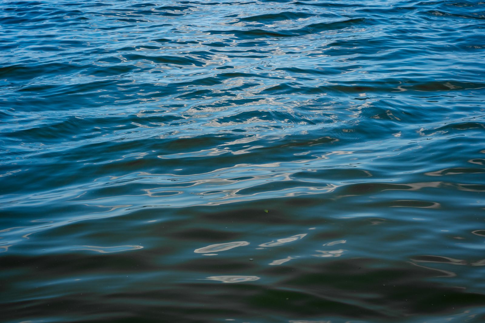Close Up Shot of a Body of Water · Free Stock Photo