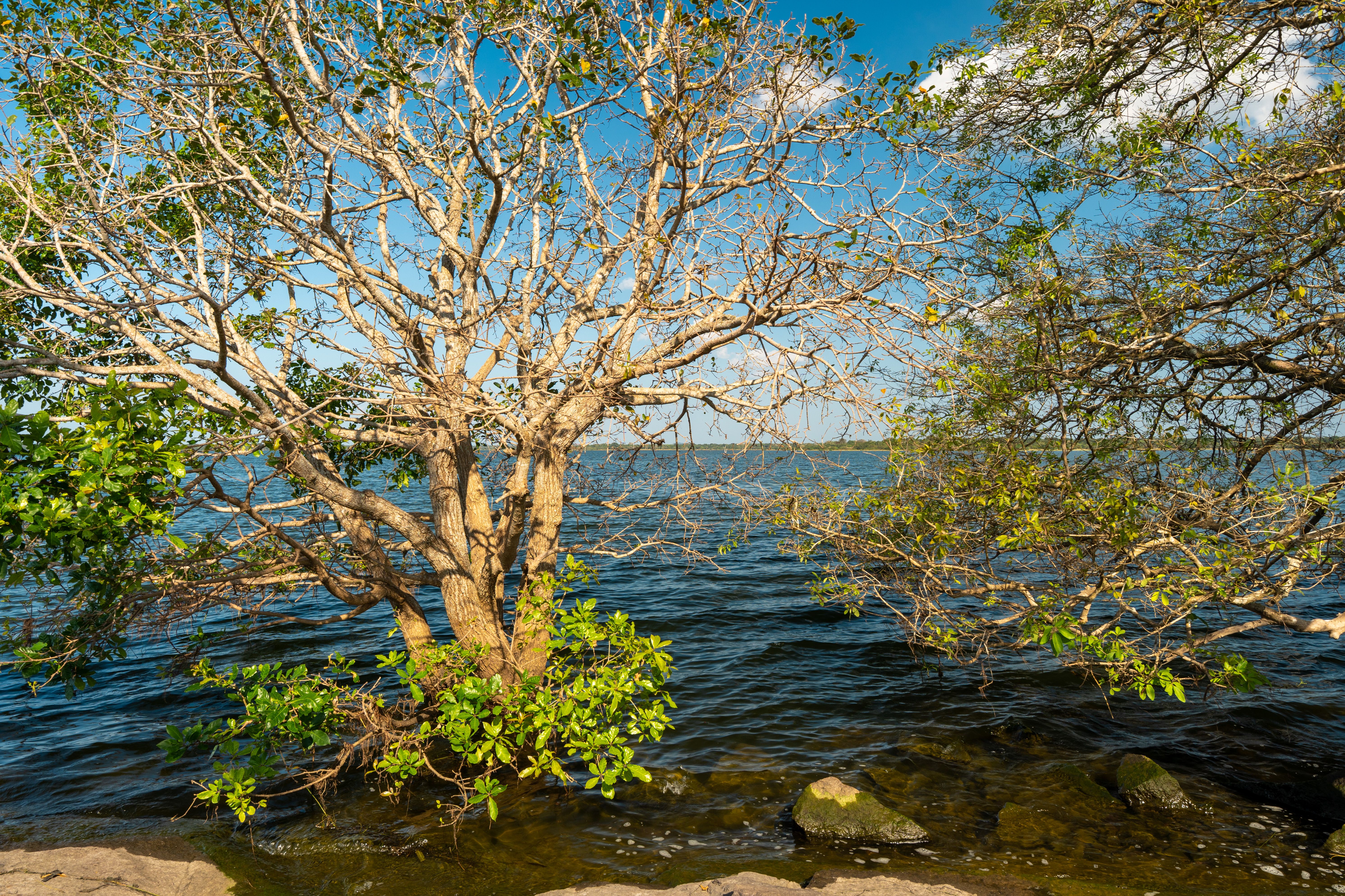 Puttalam with Family: What Works and What to Skip