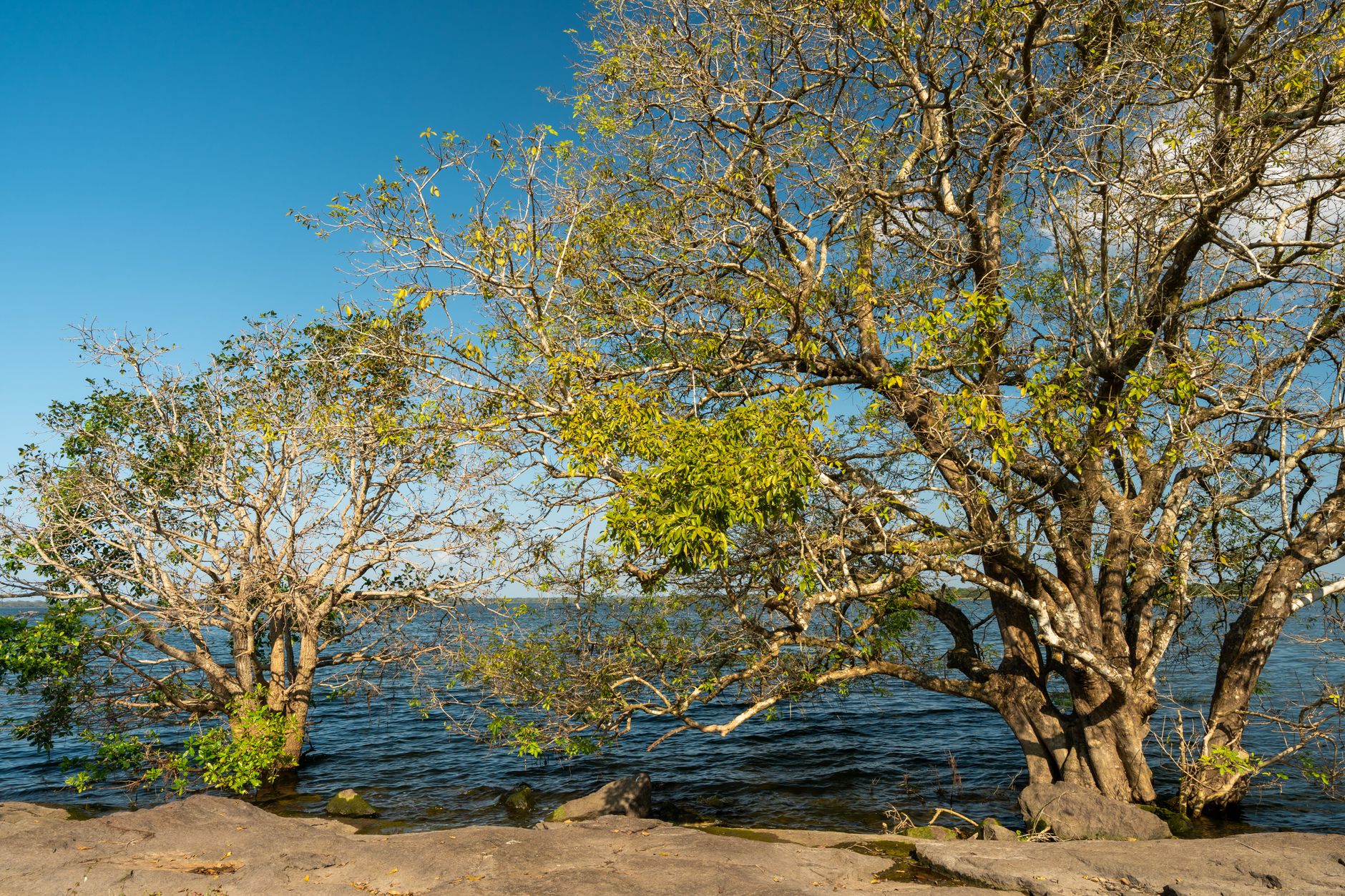 Nightlife and Evenings in Siyambalanduwa