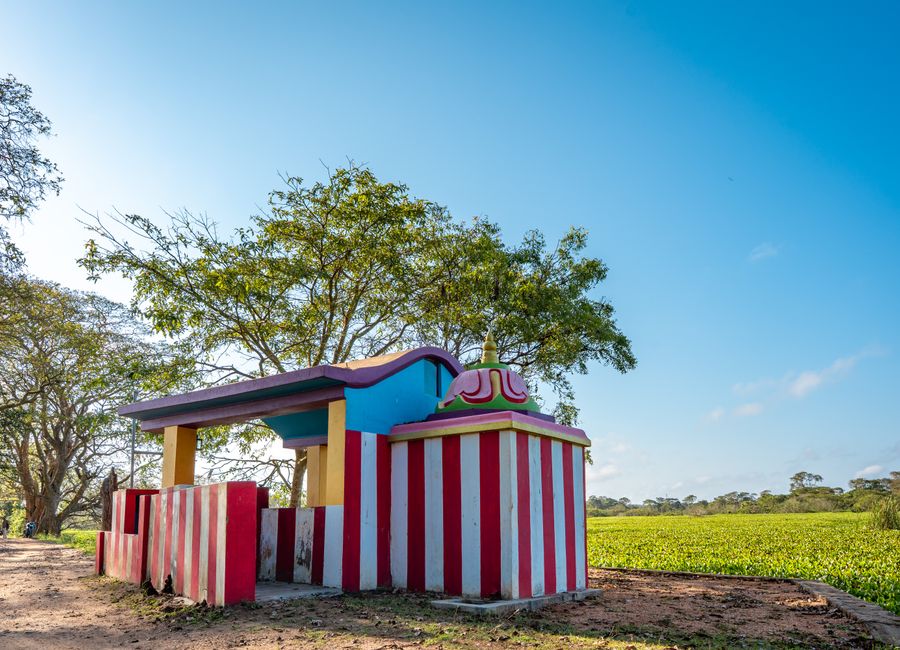 Vibrant shrine amidst lush greenery in Vavuniya, Northern Province, Sri Lanka.