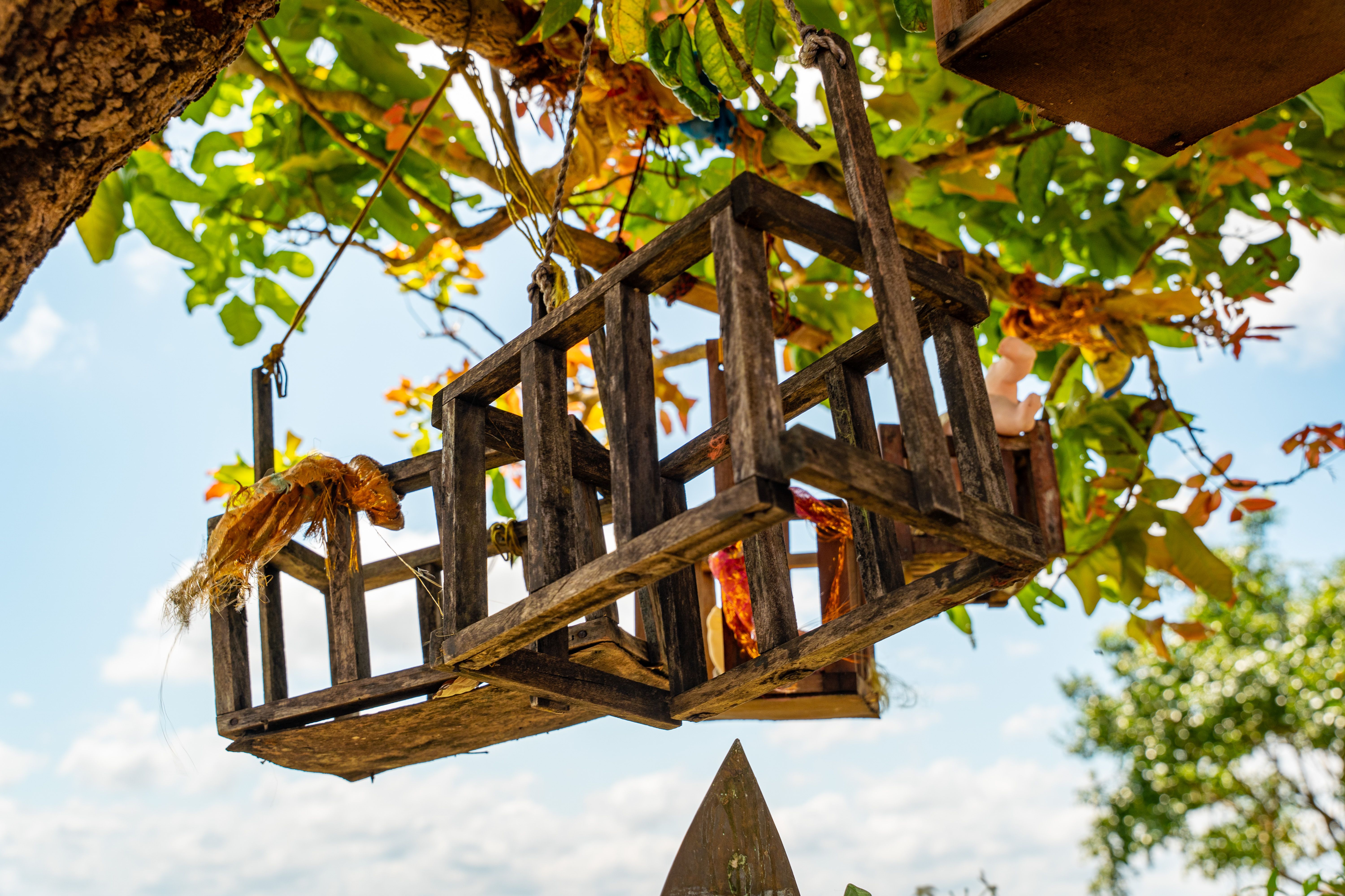 Traditional Wooden Bird Cage Hanging in Tree · Free Stock Photo