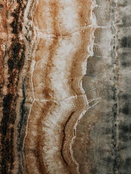 Detailed macro shot of natural marble showcasing intricate earthy patterns and colors.