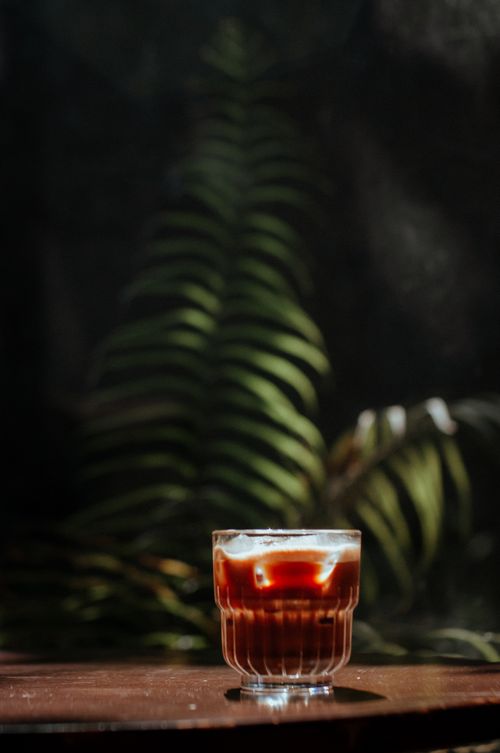 Free Glass of rich coffee in natural sunlight with verdant fern backdrop. Stock Photo