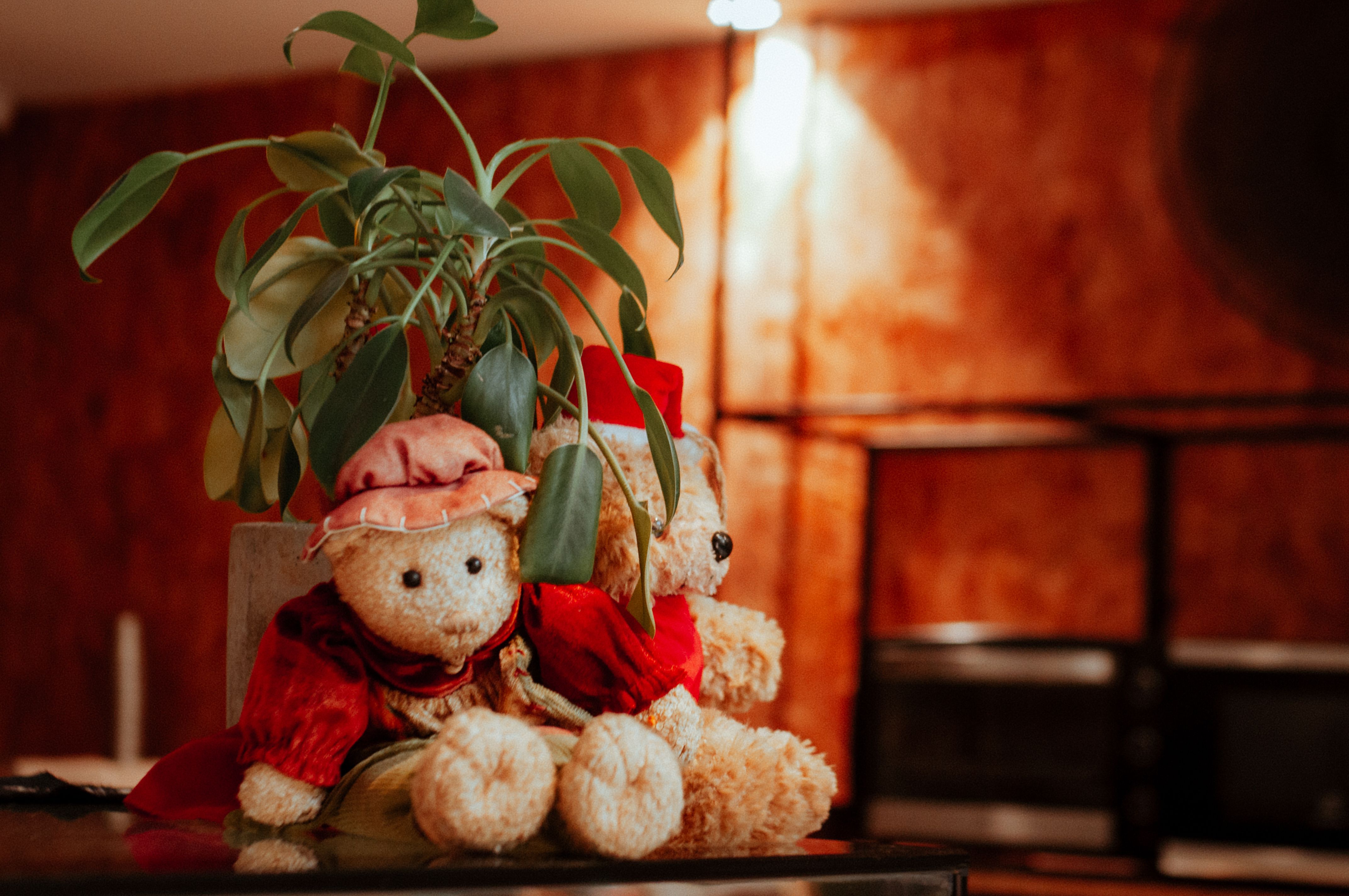 Richie and Sydney having a conversation in The Bear's kitchen
