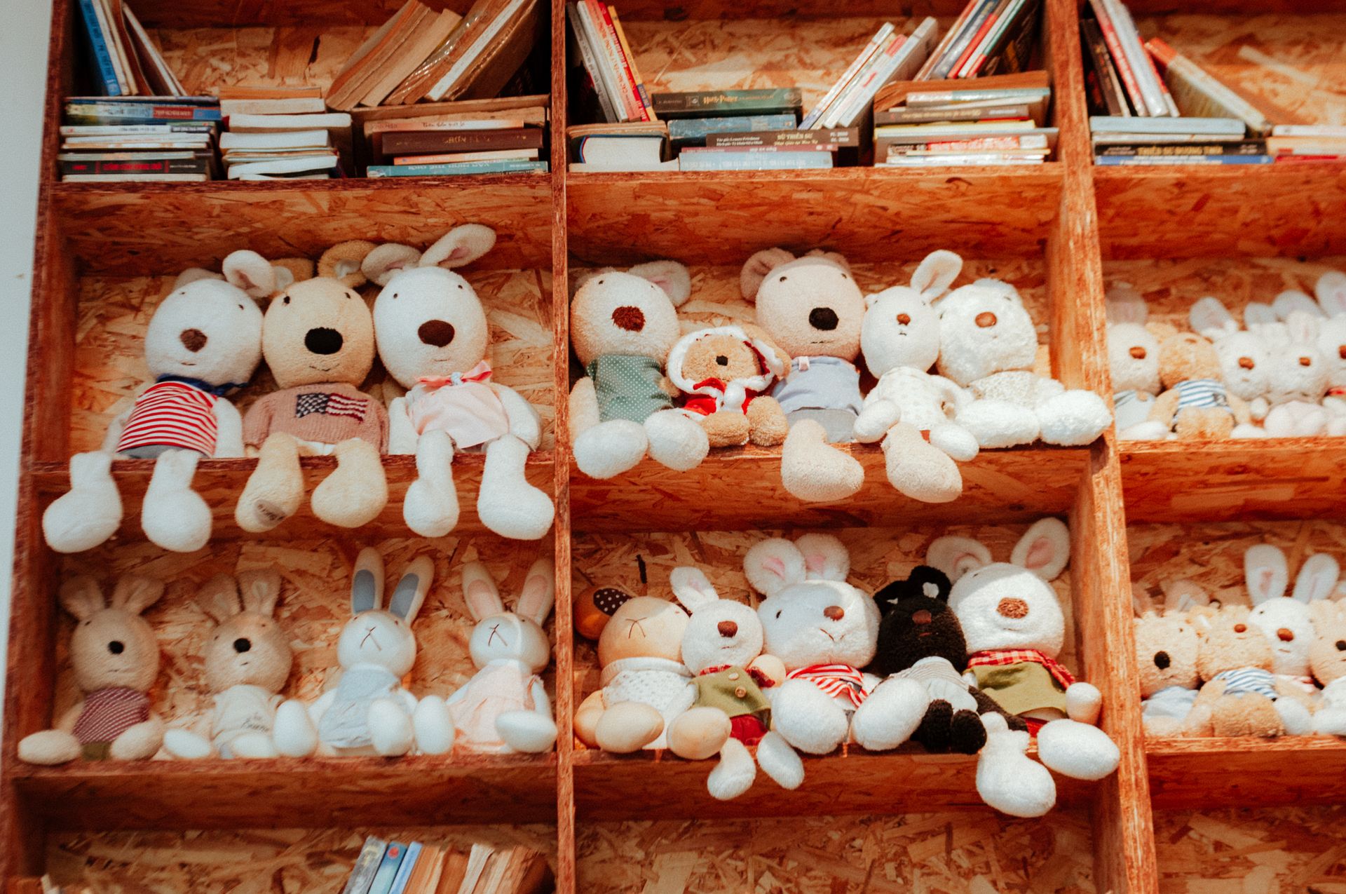 Colourful plush toys arranged on a shelf