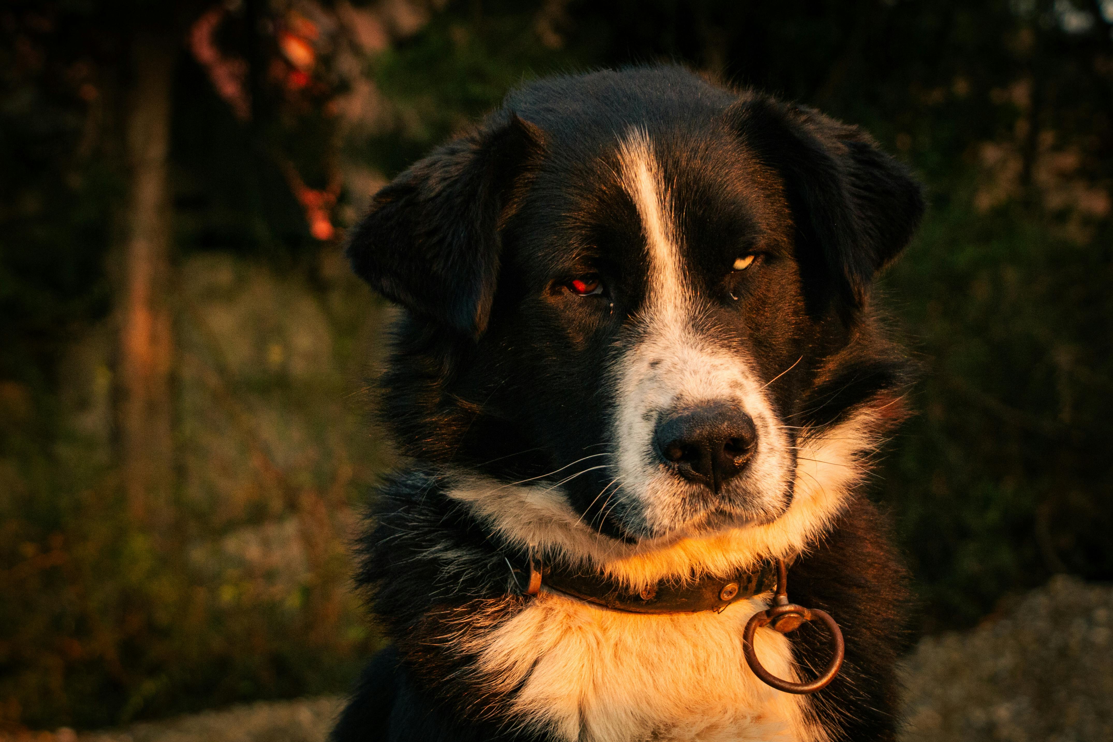 Far Cry New Dawn game guides and walkthrough — Photo by Osman İçli on Pexels