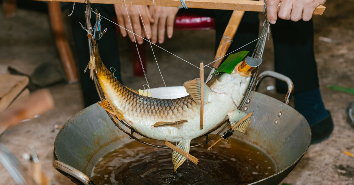 Les Meilleures Méthodes de Cuisson du Poisson Frais