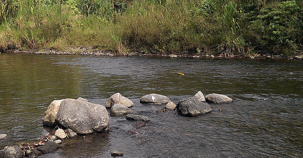 Free stock photo of Costa Rica La Fortuna, nature, river