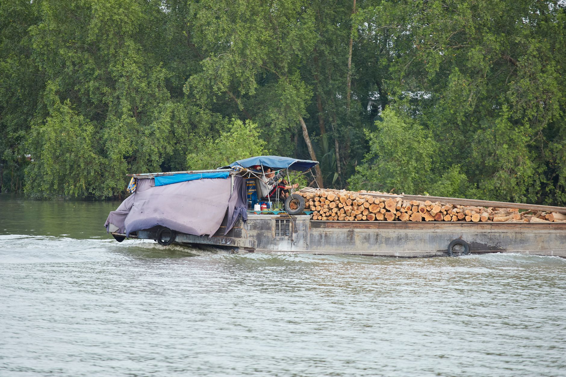 A barge carrying logs travels through the Mekong River in An Hoi, Vinh Long, Vietnam.