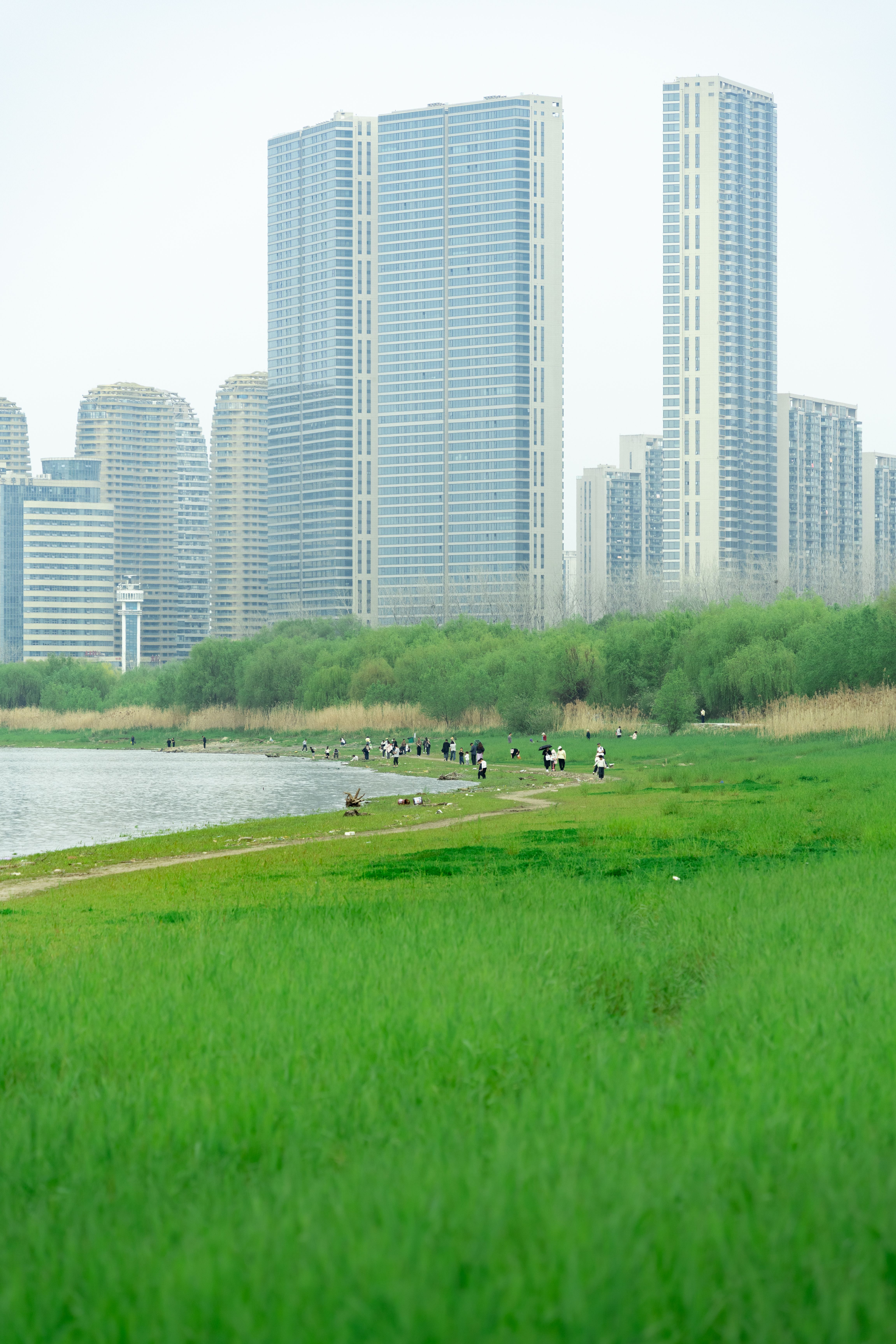 Vibrant city skyline with tall buildings, adjacent green park, and serene lake view.